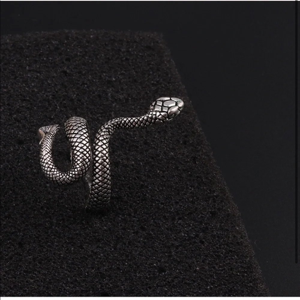 Titanium Steel Snake Ring